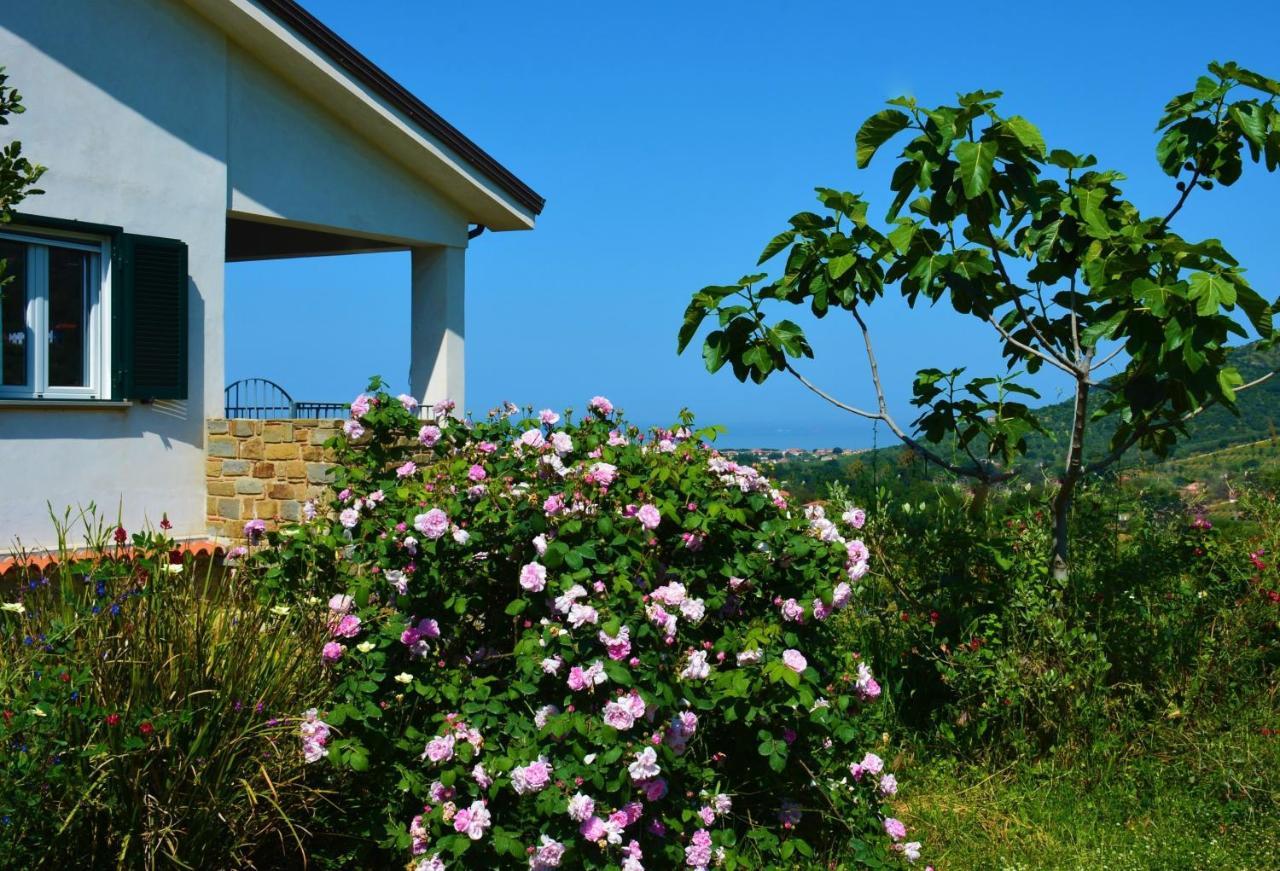 Casale Dionisia, Santa Maria Di Castellabate, Appartamento Iris ภายนอก รูปภาพ