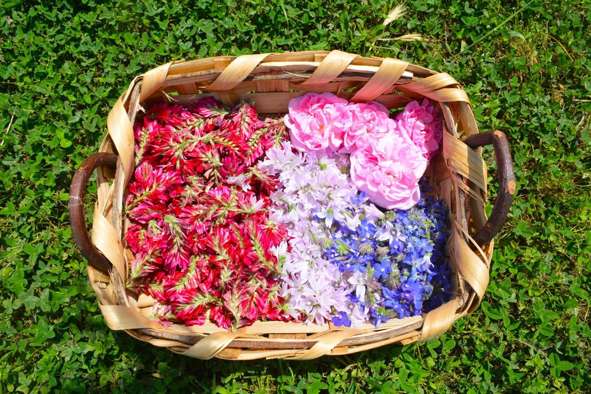 Casale Dionisia, Santa Maria Di Castellabate, Appartamento Iris ภายนอก รูปภาพ