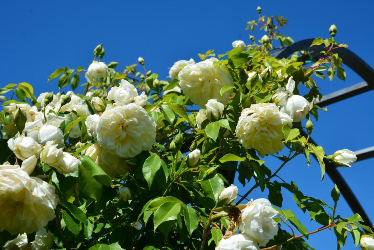 Casale Dionisia, Santa Maria Di Castellabate, Appartamento Iris ภายนอก รูปภาพ